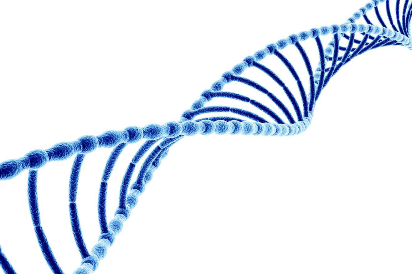 DNA double helix illustration representing GHRH analogue research
